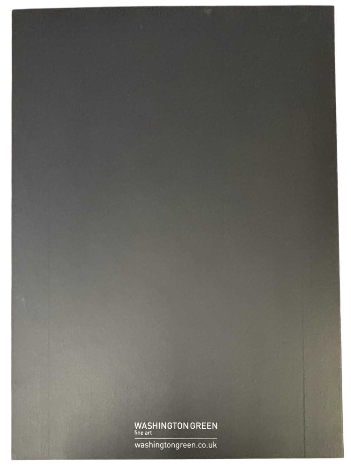 MARVEL STAR WARS LIMITED EDITION PRINTS [SIGNED]. Washington Green and CC/Marvel Fine Art. A set - Image 15 of 16