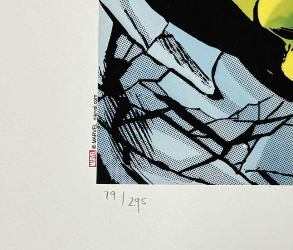 MARVEL SUPERHEROES LIMITED EDITION PRINTS [SIGNED]. Washington Green and CC/Marvel Fine Art. A set - Image 3 of 17