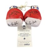 A pair of boxing gloves signed by Harry Carpenter and John Stracey, together with a programme signed