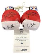 A pair of boxing gloves signed by Harry Carpenter and John Stracey, together with a programme signed