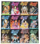 MANGA INTEREST: HIROYUKI TAKEI: SHAMAN KING, volumes 1 - 12