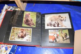 Photograph album containing large quantity of various modern postcards of animals