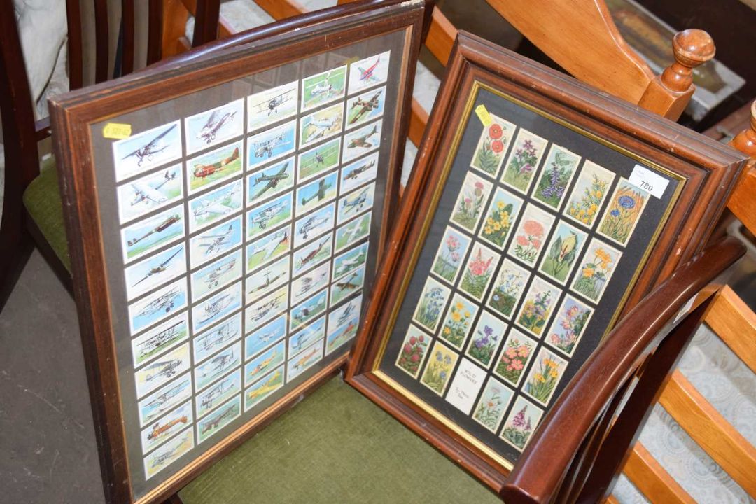 Two framed sets of cigarette cards, wild flowers and aeroplanes
