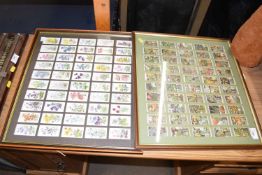 Two framed sets of cigarette cards
