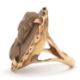 A lava cameo ring, the oval lava cameo carved with the head of a lady, claw mounted with rope - Image 5 of 5