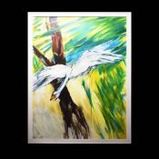 MATTHEW CAREY. SWAN. (d)