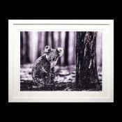 DAVID YARROW (B. 1966). SURVIVOR. (d)