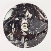 AN AMMONITE AND ORTHOCERAS ROUND SPIRAL BOWL.