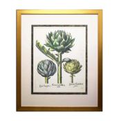 BASILIUS BESLER. After. ARTICHOKES (3).