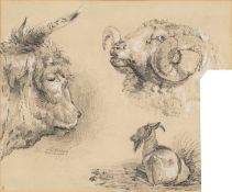T*H* Gibson Bull, ram and goat study, signed, pencil heightened in white, 18 x 21cm From a