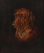 Robert Morley (1857-1941) 'Otter', portrait of a brown daschund, signed and inscribed, oil on panel,