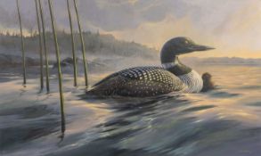 Mario Fernandez (1946-2012) A common loon and its young, signed, oil on board, 60.5 x 100.5 cm 60.5