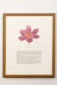 Richard Bramble (b.1966) Crocus Sativum, 1998 signed and numbered in pencil etching 41 x 33cm; and a