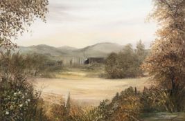 Ann Celia Freeman (20th century) Landscape, signed, oil on canvas, 49.5 x 75cm