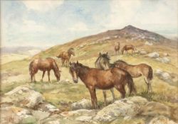 Harry Fidler (1856-1935) Dartmoor ponies on a moorland hilltop, signed 'Fid', watercolour, 25.5 x
