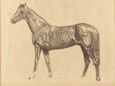 Graeme Sims (20th century) Horse study, signed and dated '73, charcoal, 52 x 69cm; and a further