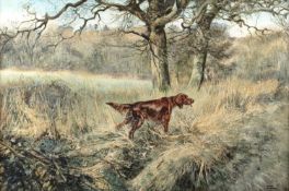 Henry Wilkinson (1921-2011) Red Setter at the forest edge, signed, oil on canvas, 49 x 75cm Some