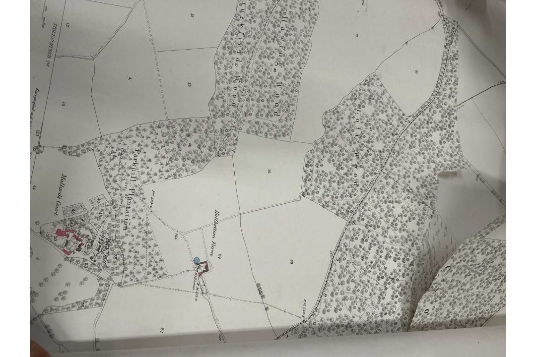 A collection of various rolled estate maps - Image 6 of 10