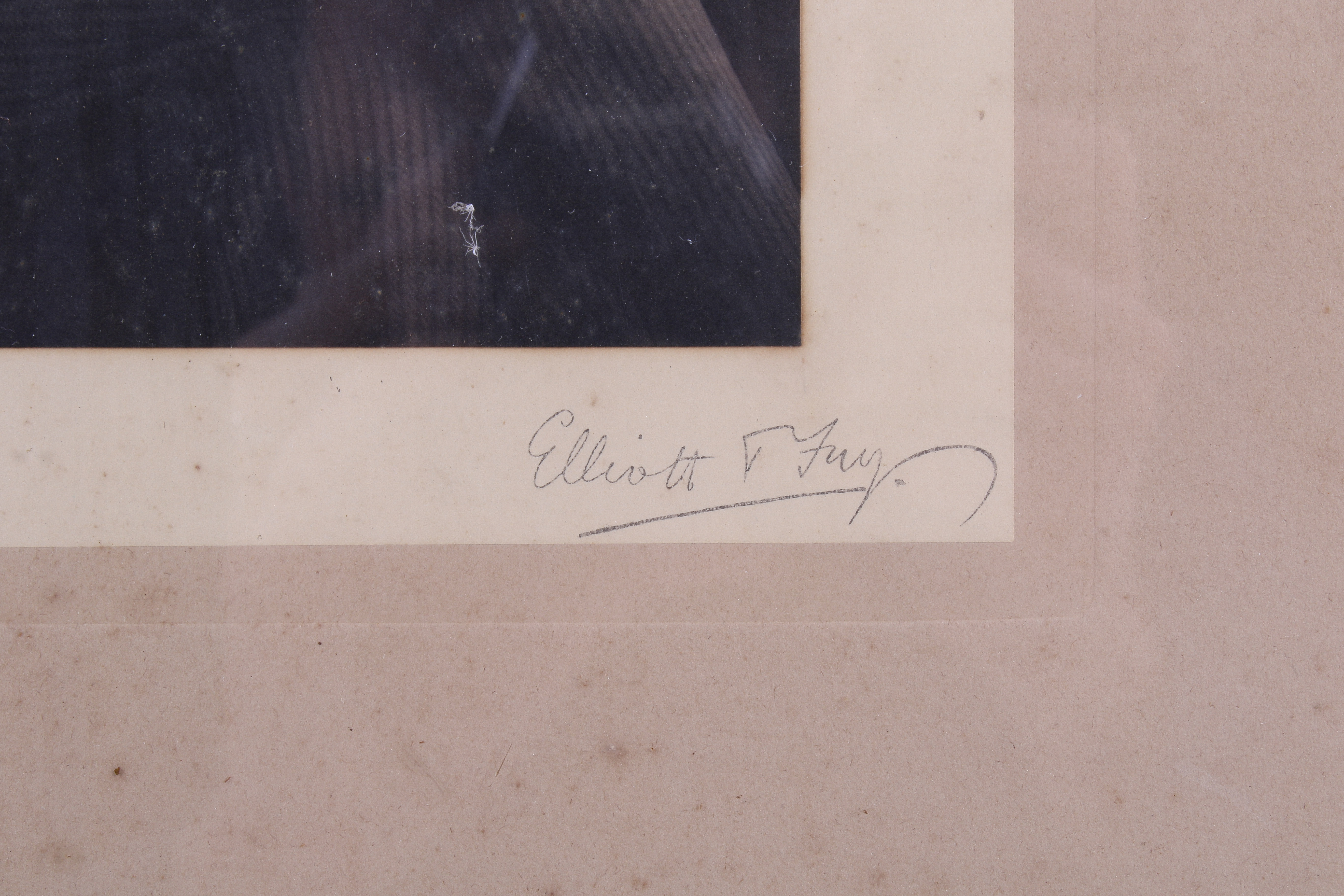 A circa 1900 black and white albumen portrait photograph of a gentleman by Elliott T Fay. - Image 3 of 3