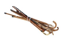 A collection of nine assorted walking sticks.