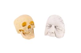 A plastic human skull with half a plaster cast of a male face. Max. H15cm. (2).