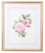 Marianna Kneller, English, 1990, watercolour.