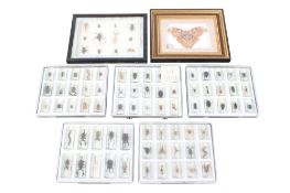 A collection of seven sets of assorted insect specimens mostly in resin. Boxed or framed. Max.