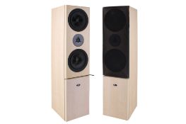 A pair of Linn Keosa bi-wired floor speakers.