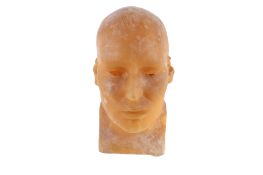 A vintage wax model of a gentleman's head.