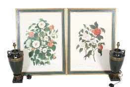 A pair of large flower illustrations and a pair of table lamps.