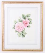 Marianna Kneller (English, 1990) watercolour.