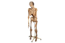 A novelty model of a skeleton.