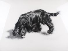 A contemporary charcoal drawing of a spaniel.