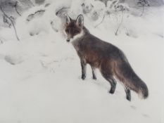 Kurt Meyer-Eberhardt (German 1895-1977) coloured engraving of a fox in the snow.