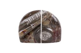 A pair of polished natural fossil bookends.