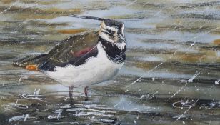 Jonathan Pomroy (British, contemporary), watercolour, 'Lapwing in Driving Rain'.