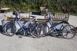 A pair of Giant Suede women's bicycles in metallic blue with pink accessories and Liv saddles. All