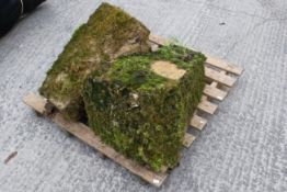 A pair of Staddle stone bases. Approximately H65cm All items in this auction are sold as seen, We