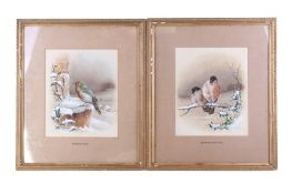 Harry Y Bright (1846-1895), two watercolours heightened with white, depicting birds.