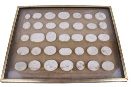 A collection of thirty-six 19th century Italian Grand Tour plaster casts cameo roundels.