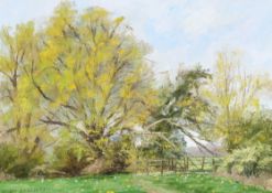 Brian Theodore Bennett (born 1927), oil on canvas, rural field.