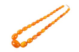 A butterscotch amber graduated bead necklace. Bead length circa 1cm up to 2.7cm, gross weight 42.2g.