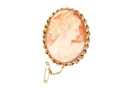 A shell cameo in a scrolling yellow metal mount.