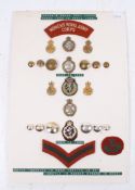 An assortment of British Women's Royal Army Corps 1949-1992 uniform accessories.