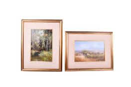 Robert Todonai (1963) - two oil paintings. Both signed, one dated '88.