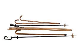 A group of five assorted walking sticks and a pair of ski poles. Max.
