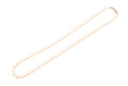A cultured pearl necklace. With a hallmarked 9ct gold clasp, the pearls circa 6mm-6.