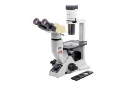 An Olympus CKX41 binocular microscope.