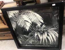 ENGLISH SCHOOL IN THE MANNER OF BRETT WE