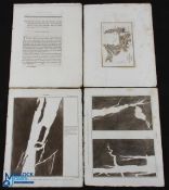 Account of Table Mountain - Cape of Good Hope 1815 - by John Playfair from observations made by